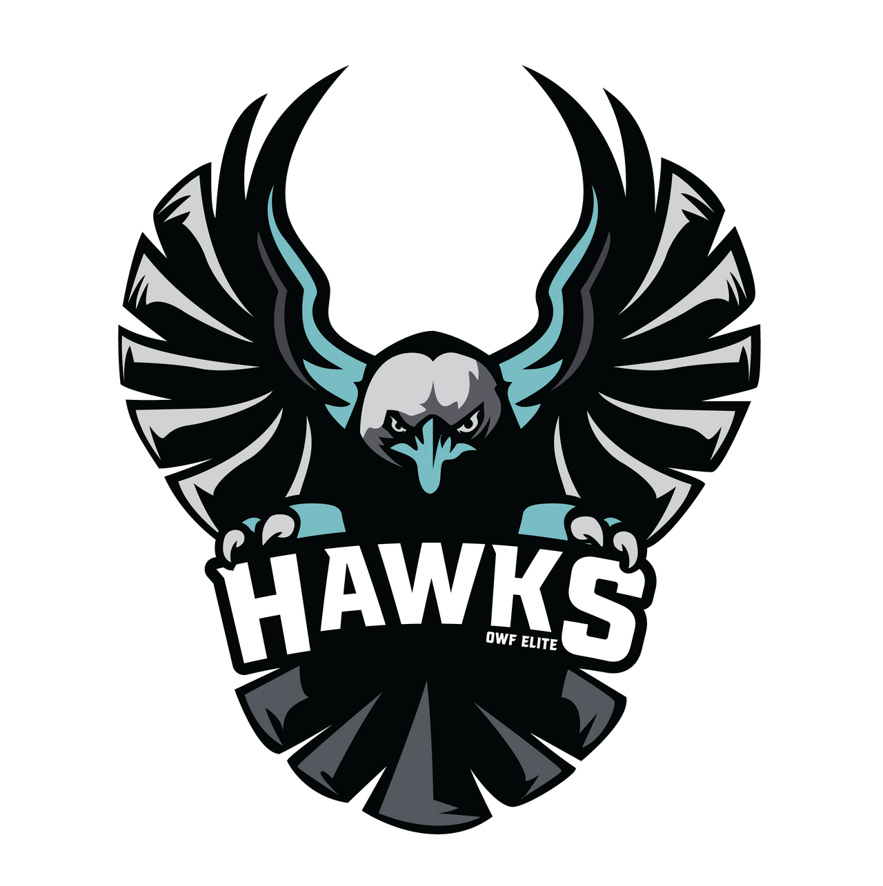 Hawks Fan Gear